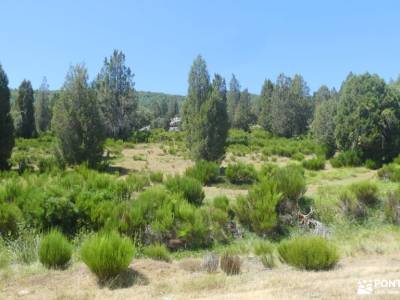 Bosques y Leyendas del Alto Carrión; turismo rural atención exclusiva al cliente senderismo inolvida
